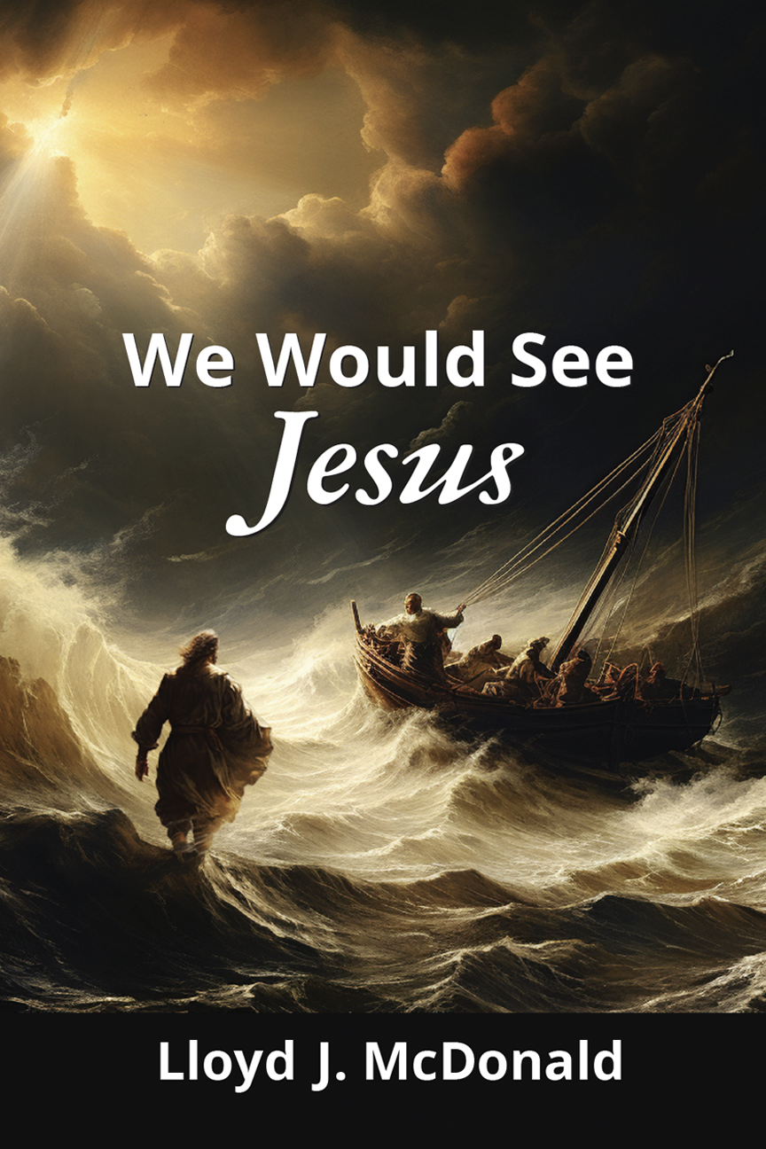We Would See Jesus